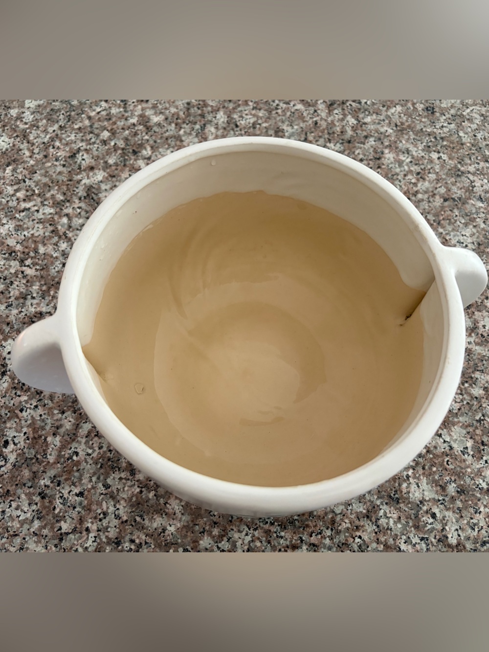 Ceramic Decorative Plant Pot - Picture 8 of 8